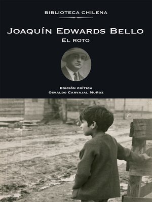 cover image of El roto